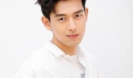 李现佟丽娅最新爆料,揭秘幕后故事与情感纠葛